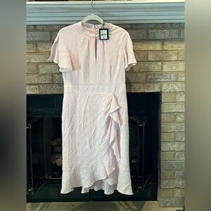 Elegant Pink Ruffle Dress Nanette Lepore size 10 NWT